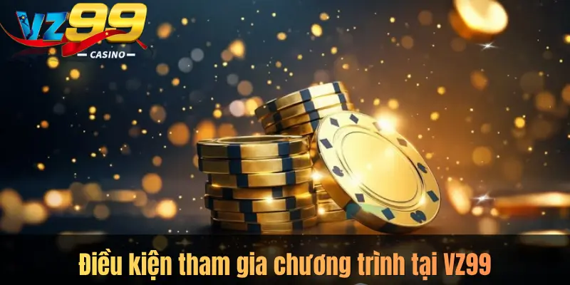 Điều kiện tham gia chương trình tại VZ99